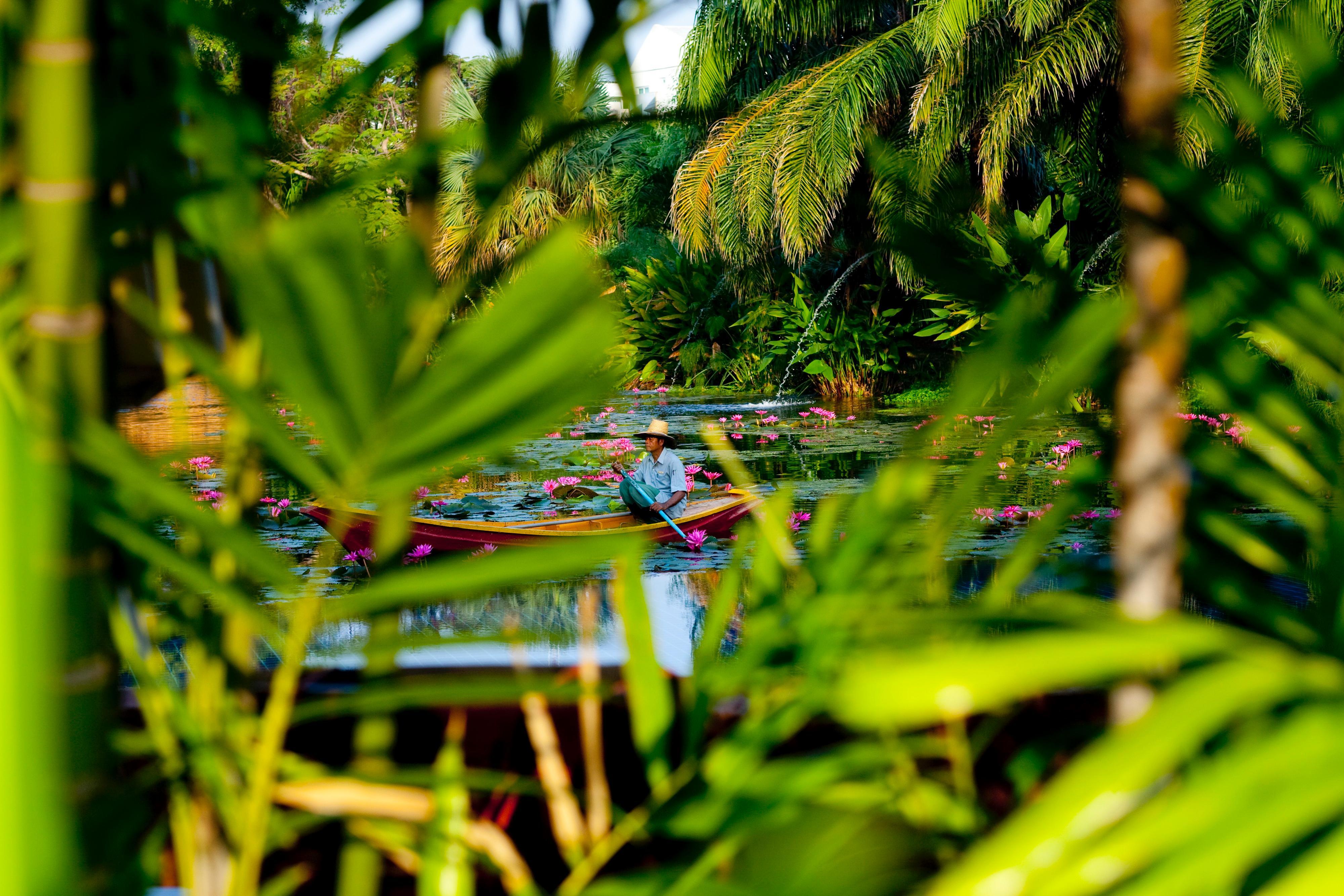 Semesteranläggning (resort) Anantara